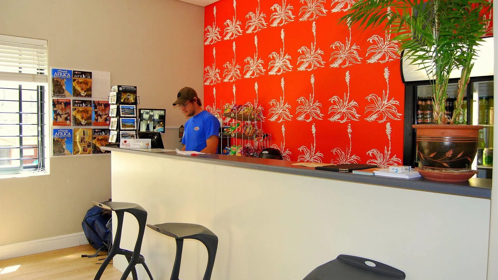 Auberge de jeunesse Ashanti Lodge Green Point Le Cap